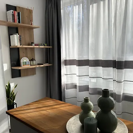 Apartment Vyo Brasov